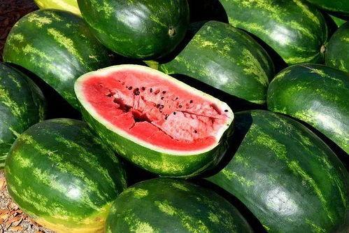 视频素材大全