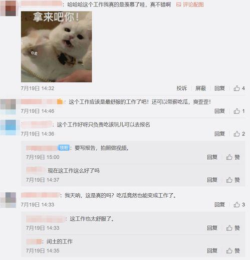 西瓜专车